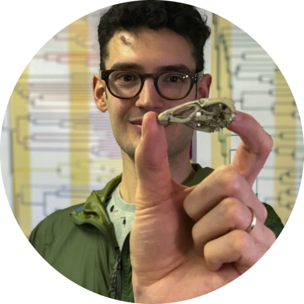 Go to the profile of Daniel J. Field