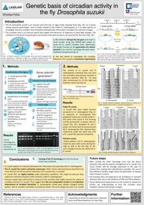 Genetic basis of circadian activity in the fly Drosophila suzukii