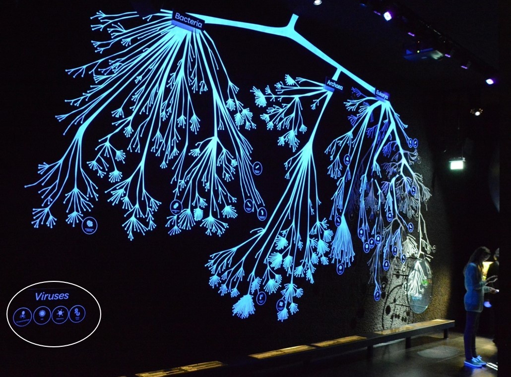 Virosphere Belongs to Biosphere Say Virus Taxonomists