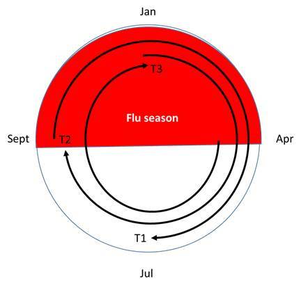 Buy one, get one free: Vaccinate the mother, protect the child