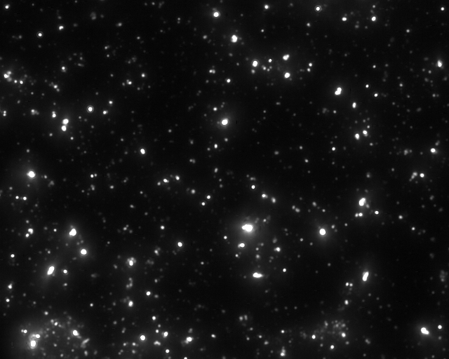 Exfoliated near infrared fluorescent silicate nanosheets for (bio)photonics