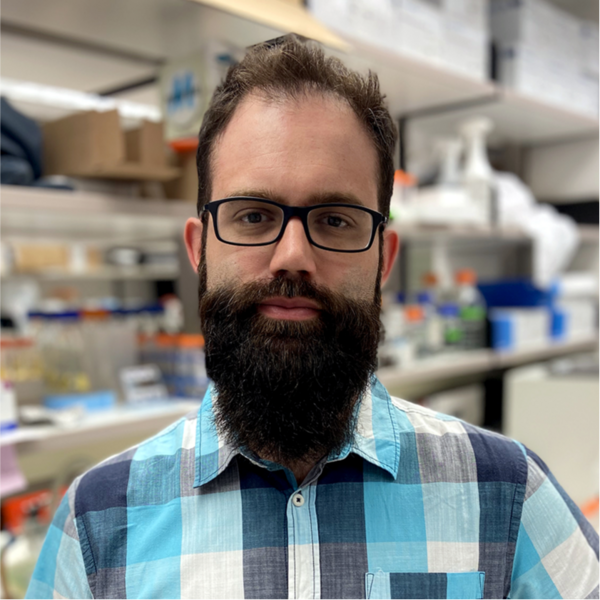 Go to the profile of Adrien Assié