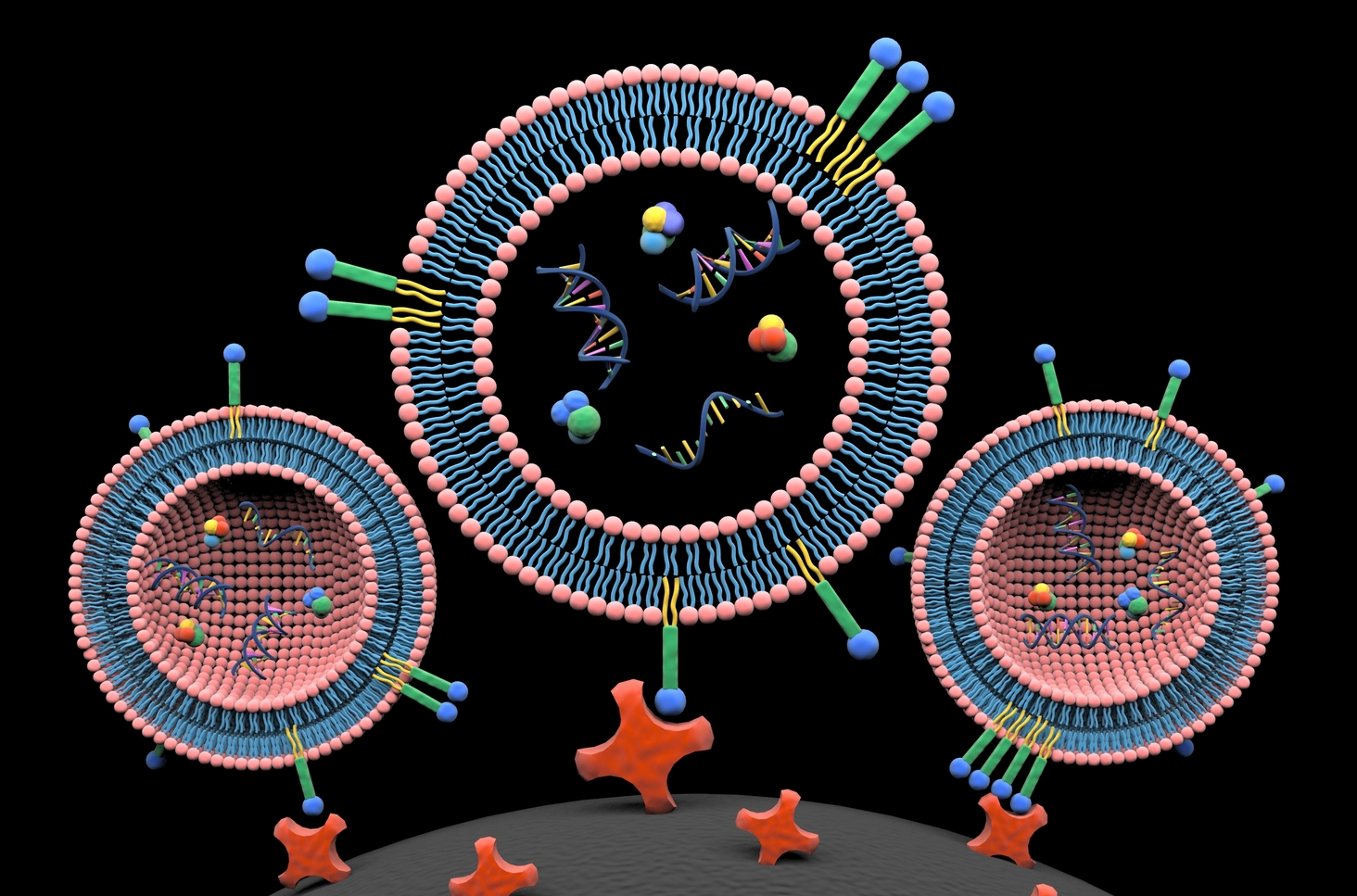 Nanoprobes for the rapid isolation of extracellular vesicles