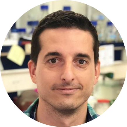 Go to the profile of PerisD