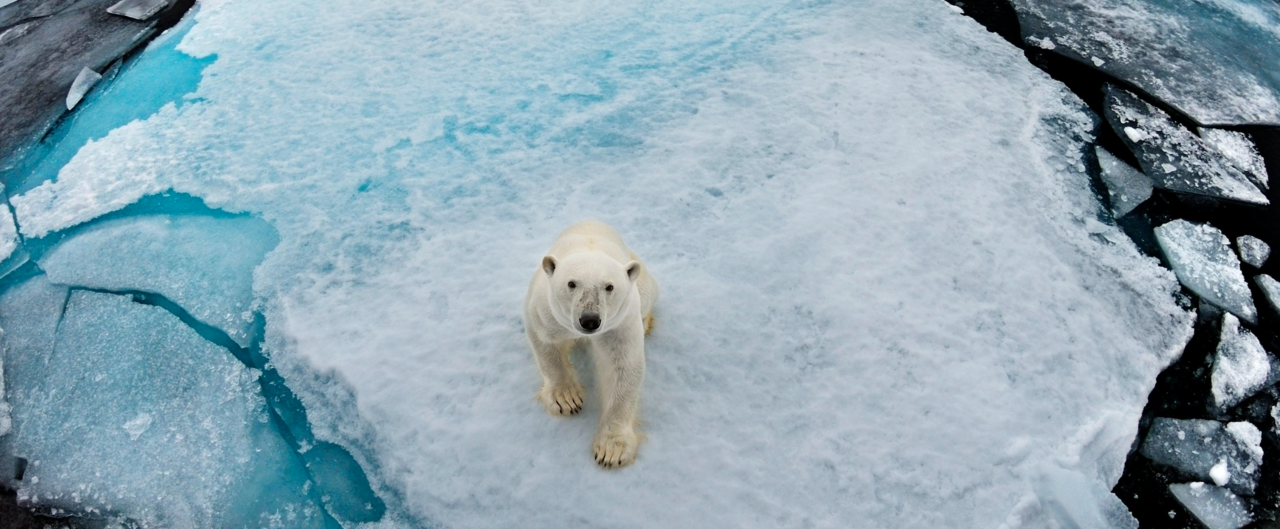 Integrating climate change in ocean planning