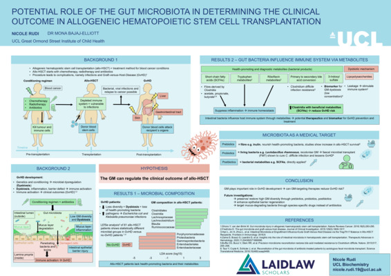 Potential role of the gut microbiota in determining the clinical outcome in allogeneic hematopoietic stem cell transplantation