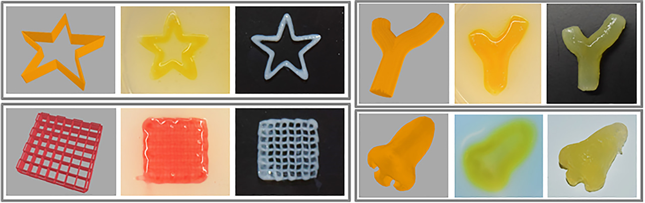 ‎3D Bioprinting of Complex Hydrogel ‎Structures by ‎‏‎the Aid of Nanoclay‎-‎Hydrogel ‎Composite ‎Support‎-‎Bath