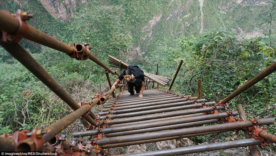 The Cliff Ahead and the Escape Ladder