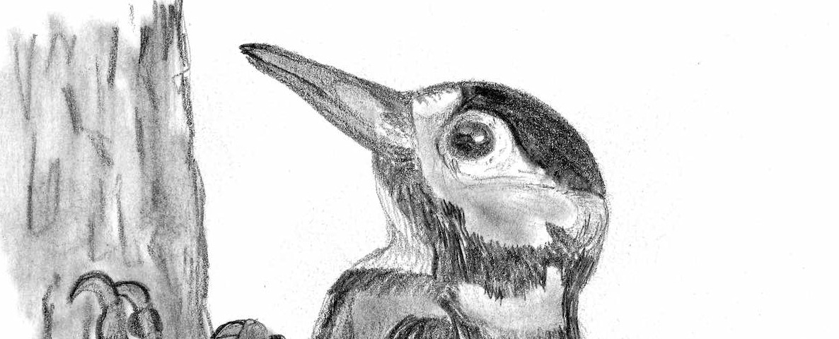 Information tinkering in an animal communication system