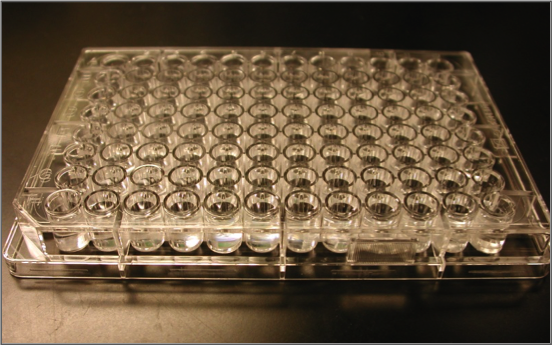 Horizontal Transfer, Coevolution and the Emergence of Multi-Drug Resistance