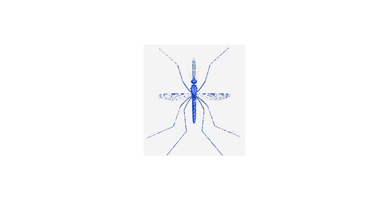 Analysis of mosquito disease vector genomes confirms high levels of sequence polymorphism, but screens reveal an abundance of target sites for Cas-9-based gene drive.