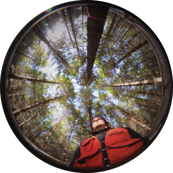 Go to the profile of Emilio Vilanova