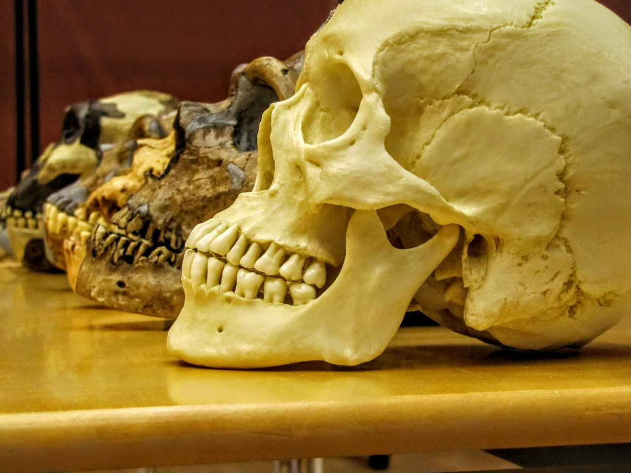 Leading with complexity in evolution education