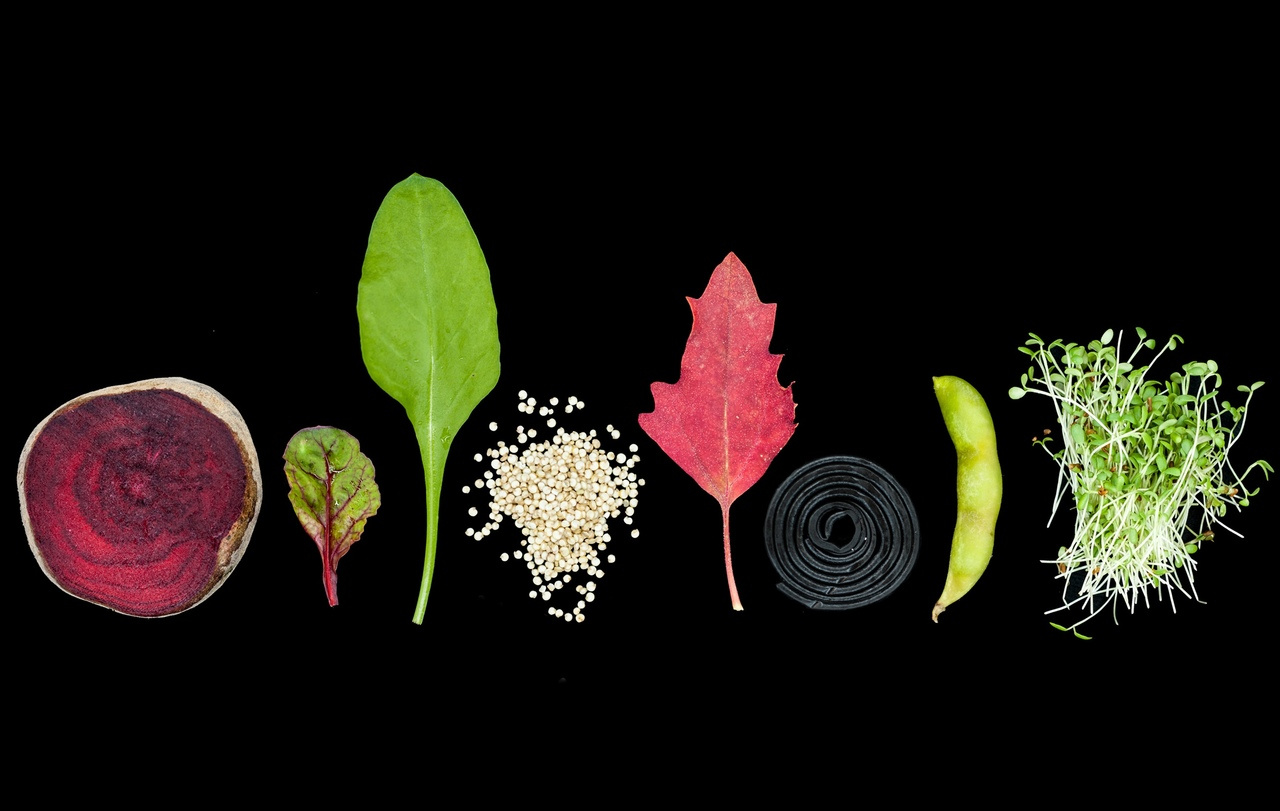 An Unorthodox Glycosyltransferase Activity of Cellulose Synthase-Like Enzymes as an Example of Evolutionary 'Hijacking'