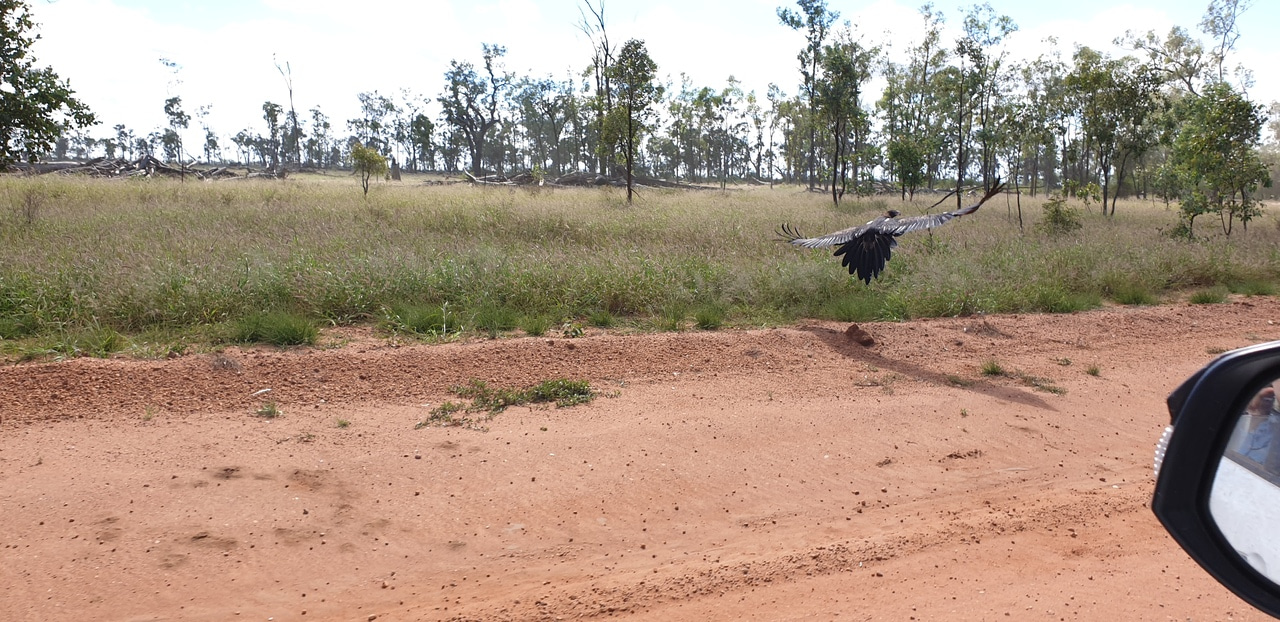 Science sidelined in approval of Australia’s largest coal mine