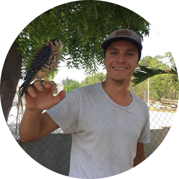 Go to the profile of Kevin Verdel