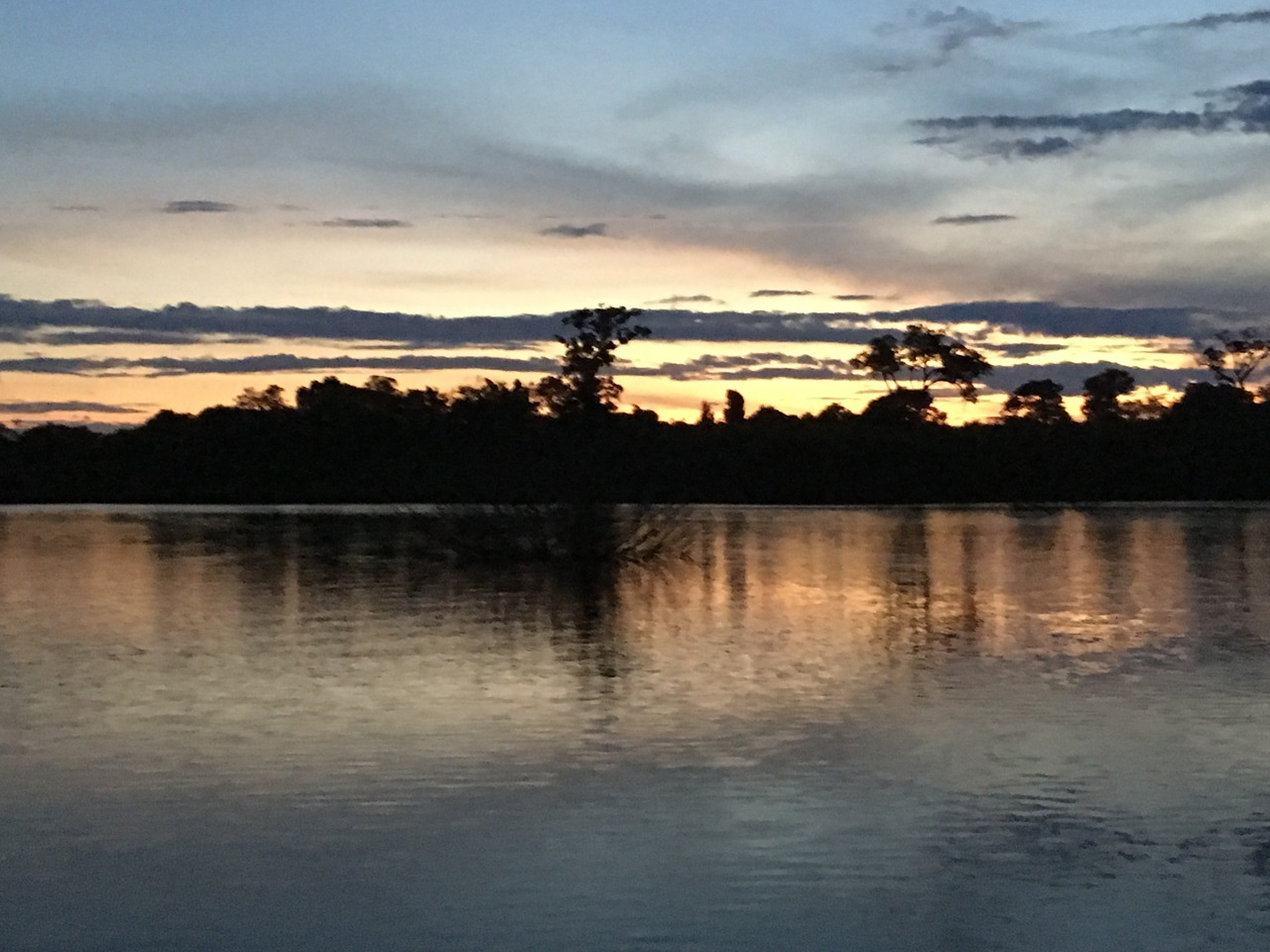 Participatory policies and intrinsic motivation to conserve forest commons