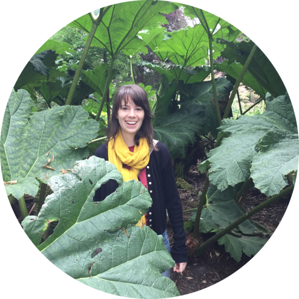 Go to the profile of Andrea Moshier