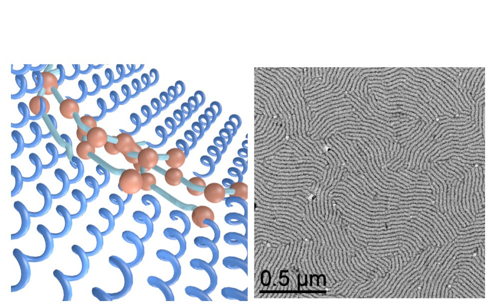 Nanoparticles and polypeptides: Beneficial coupling for innovative materials