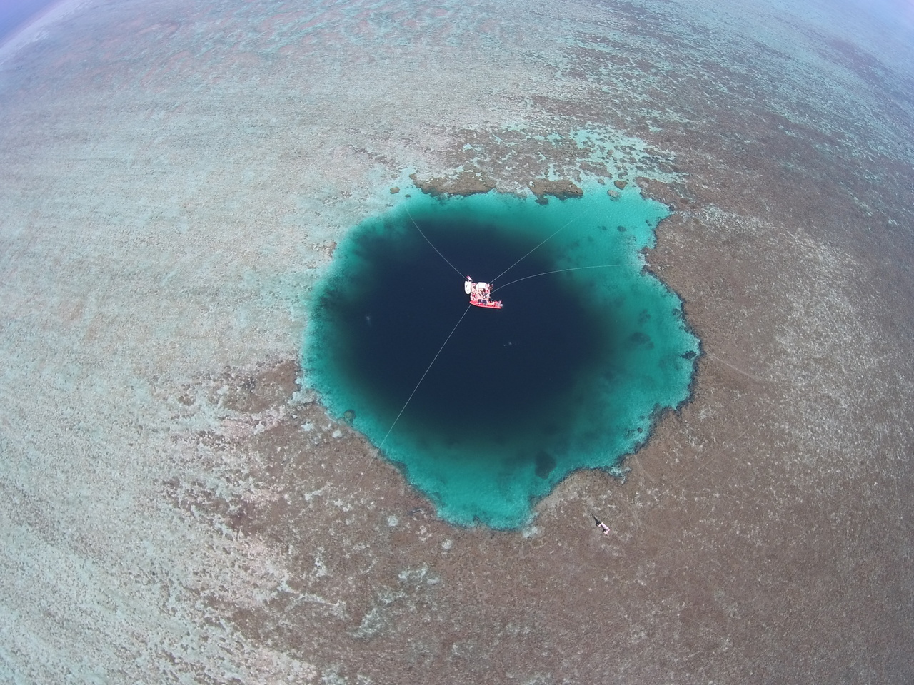 A glimpse of carbon cycling in the world’s deepest blue hole
