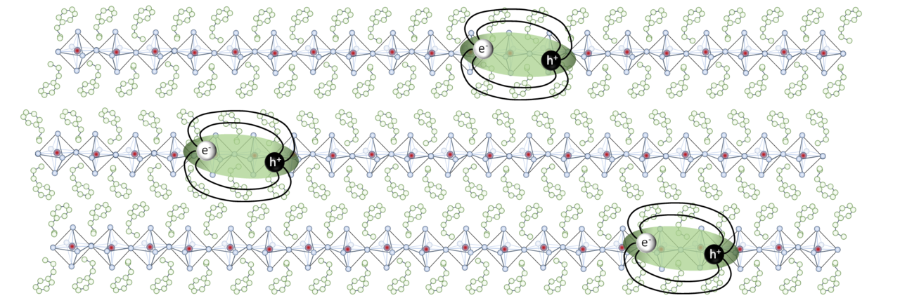 Exciton transport in 2D perovskites: Visualizing the flow of energy in a soft semiconductor