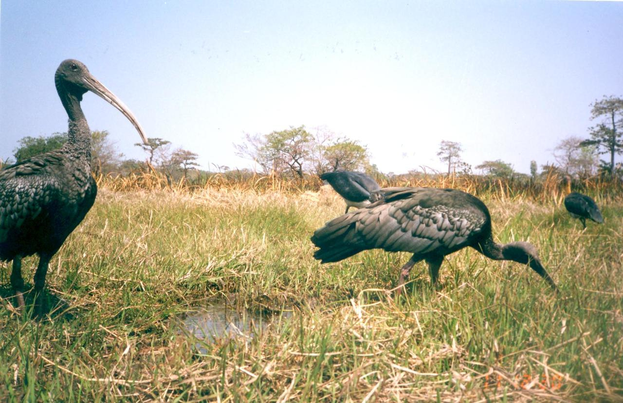 Situation analysis - Week 3