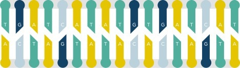 Enhanced base editing tools by mining nature for novel cytidine deaminases