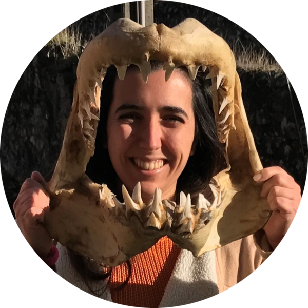 Go to the profile of Marisa Vedor