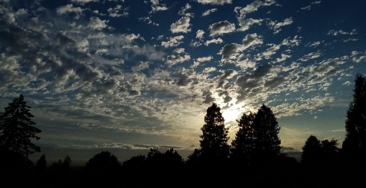 Research, COVID-19, other fantastic beasts and where to find them...