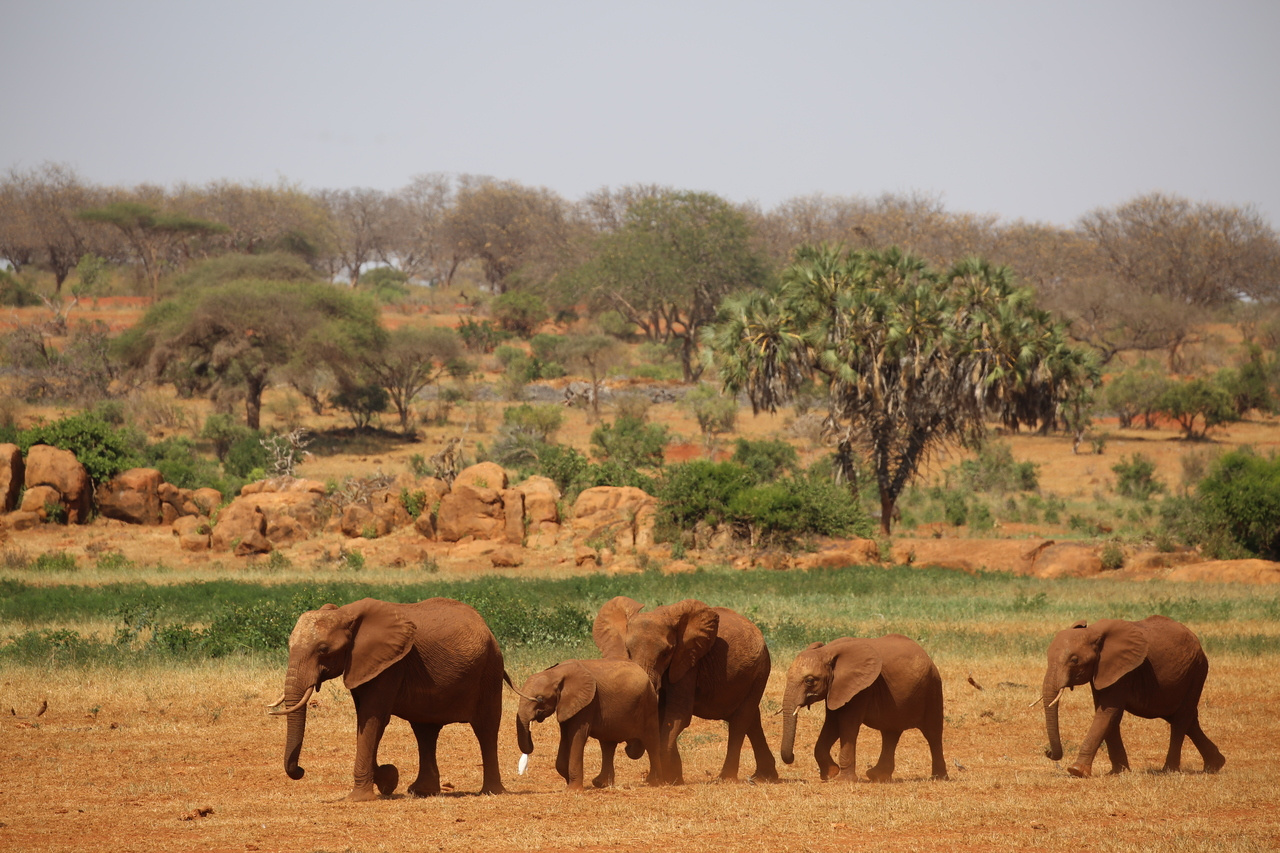 Increasing Community Capacity
