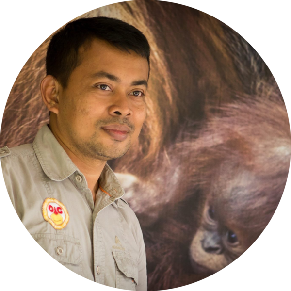 Go to the profile of Panut Hadisiswoyo