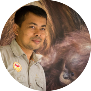 Go to the profile of Panut Hadisiswoyo