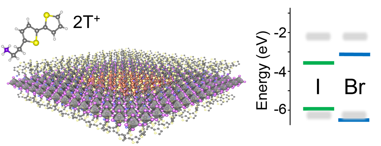 Bridging the Gap between Halide Perovskites and Two-dimensional Semiconductor Heterostructures