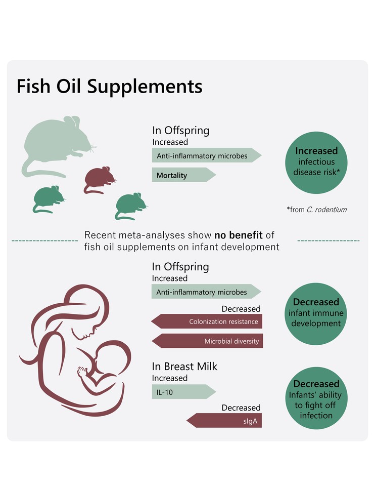 Fish oil supplements reduce an infant's chance of fighting off an infection