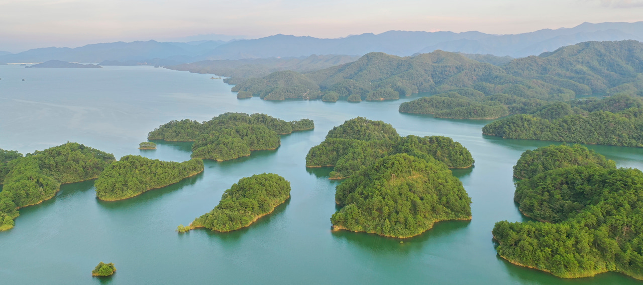 Island biogeography of soil microbes on true islands