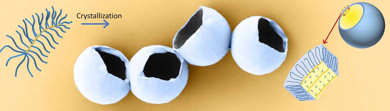 Bottlebrush single crystals show broken translational symmetry