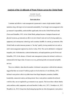 Analysis of the Livelihoods of Waste Pickers across the Global South 