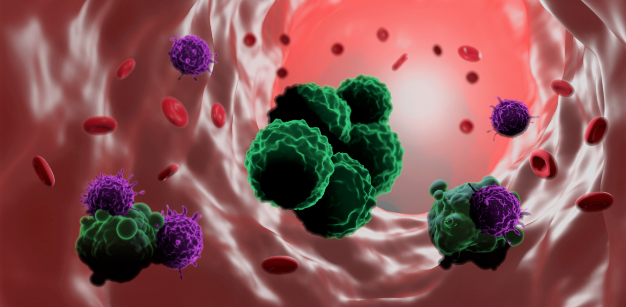 Stronger together: How polyclonal metastasis evades NK cell immunosurveillance