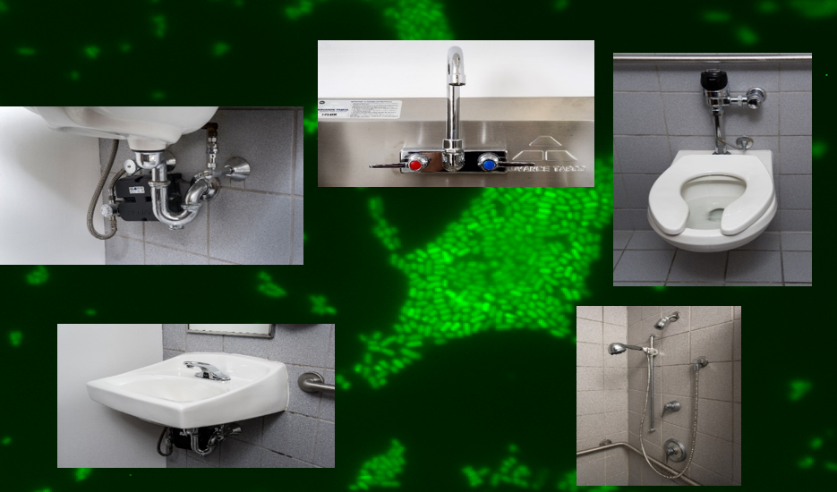 A microbiological survey of handwashing sinks in the hospital-built environment reveals differences in patient room and healthcare personnel sinks