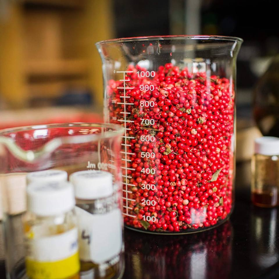 Noxious weed yields virulence solutions for MRSA