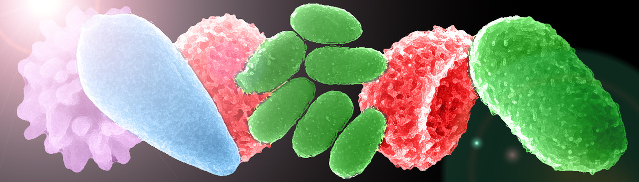 The epigenome: the secret weapon of giant viruses