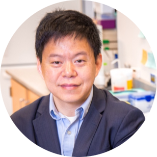 Go to the profile of Peter Yingxiao Wang