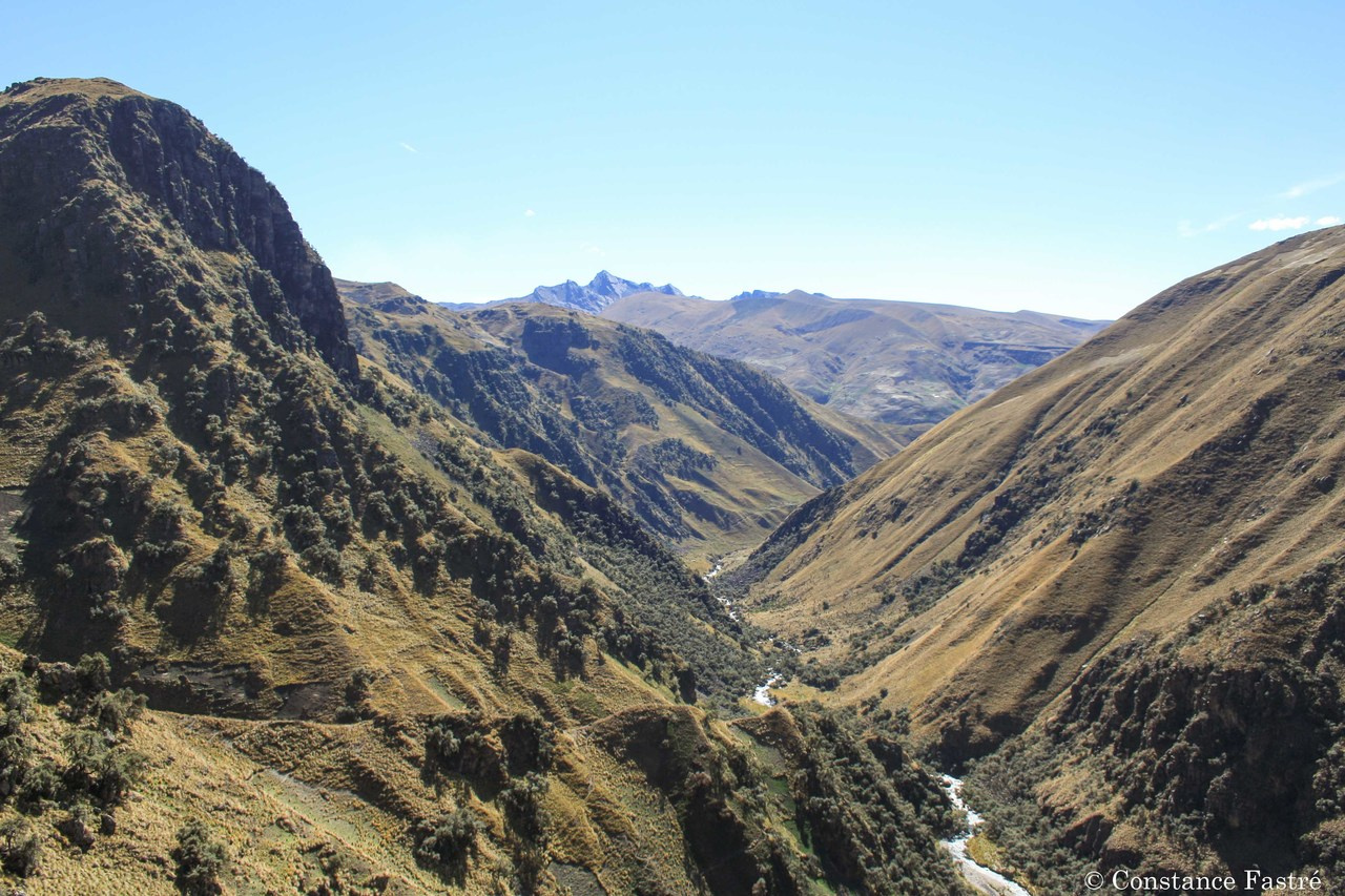 Informing conservation management in a tropical protected area