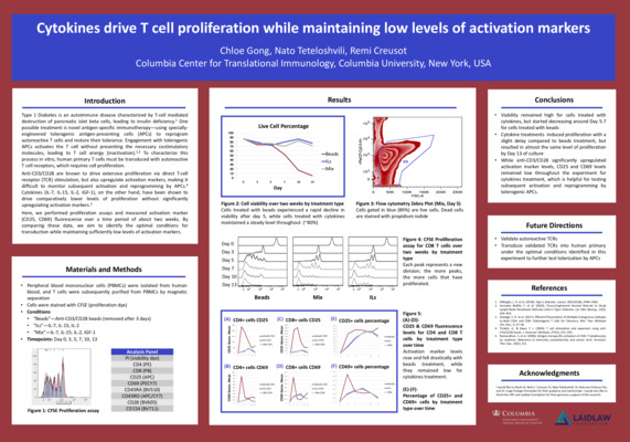 Type I Diabetes 2021 Summer Research Poster