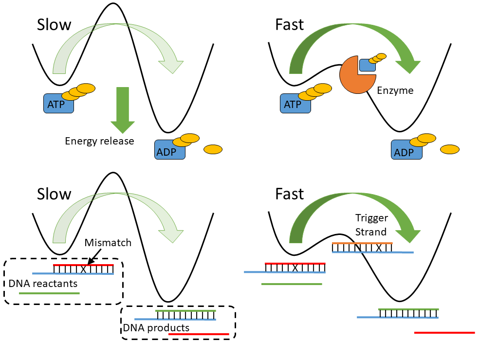 Design of hidden thermodynamic driving for non-equilibrium systems via mismatch elimination during DNA strand displacement