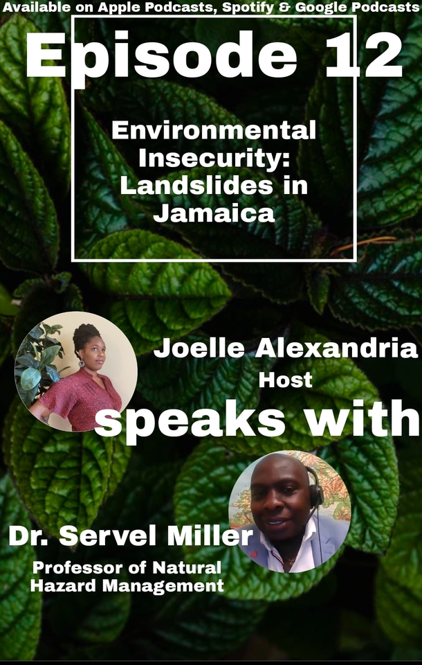 Research Report: Environmental Insecurities in Jamaica 