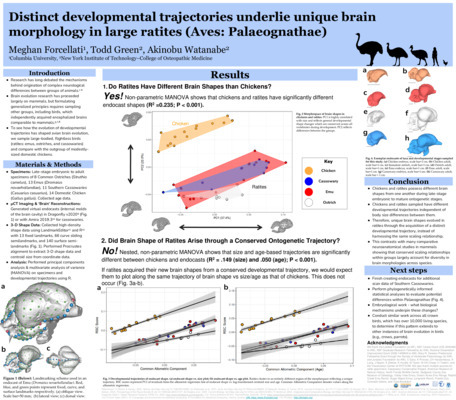Columbia Undergrad Research Symposium Poster