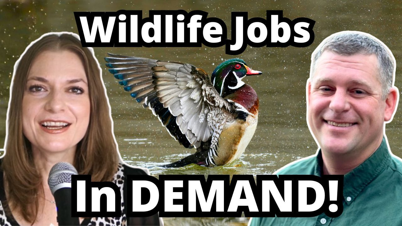 Plentiful Work in a Competitive Field: Wetland Conservation and Restoration with Patrick Raney