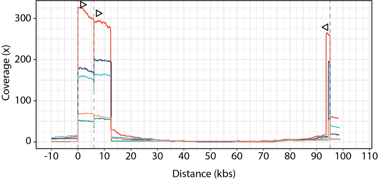Targeted & directional nanopore sequencing: Exploring the unknown 