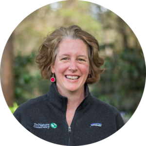 Go to the profile of Anne Trainor